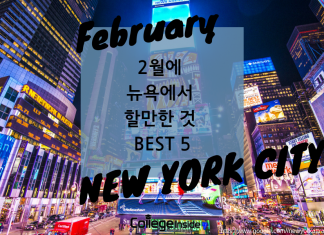 2월에 뉴욕에서 할만한 것 BEST 5