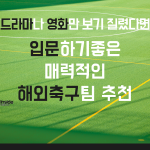 드라마나 영화만 보기 질렸다면_!