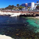 The Cove