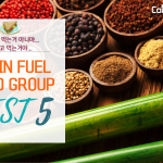 Brain Fuel Food Group Best 5