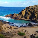 Cockroach Cove