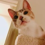 KakaoTalk_2019-04-08-20-58-37_Photo_53