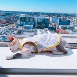 KakaoTalk_2019-04-08-21-02-25_Photo_89