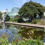 brooklyn botanical garden