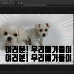 13 텍스트