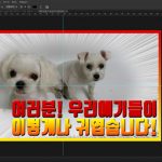 18 색깔 조절