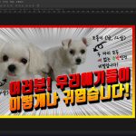 21 추가 효과