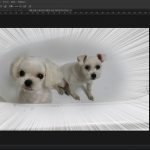 9 레이어 마스크