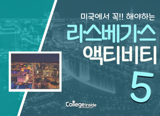 미국에서 꼭 해야하는 라스베가스 액티비티 BEST 5