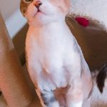 KakaoTalk_2019-08-31-22-32-24_Photo_72