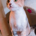 KakaoTalk_2019-08-31-22-32-26_Photo_79