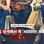 작업중 – 미국에서꼭사야하는제품