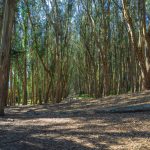 Cinebro-locationhunting (17)