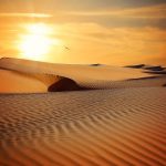 desert-790640_1920
