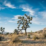 desert-landscape-1149773_1920