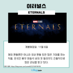 11월 6일
