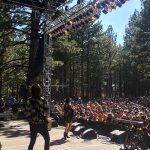 blz-2018-blog-thankyou