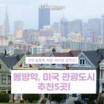 미국에서꼭사야하는제품의 사본의 사본