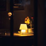 home-flowers-lamp-light