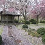 7-Pinterest