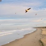 Hermosa Beach