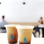 bluebottle