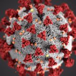 Coronavirus SARS-CoV-2 de CDC en Unsplash