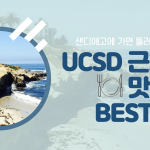 cover 6