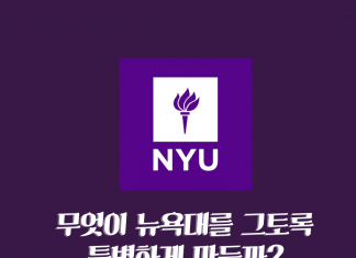 무엇이 뉴욕대를 그토록 특별하게 만들까?