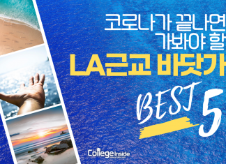 코로나가 끝나면 가봐야 할 LA근교 바닷가 BEST 5