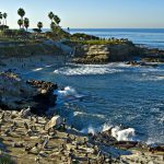 La_Jolla_Cove_view