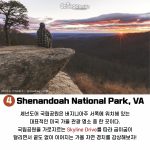 가을여행지 내용4