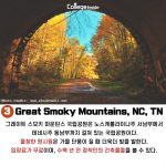 슬라이드3