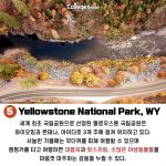 슬라이드5