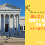 어디를 가야 하죠~어디긴 어디야! 미네소타 여행지 BEST 5