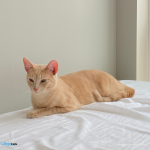 14_fullsize사진의 사본-2