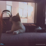 14_fullsize사진의 사본-3