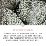 2 copy