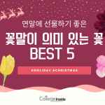 32_크리스마스(4EA)의 사본 (1)