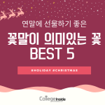 연말에 선물하면 좋을 ‘꽃말이 의미있는 꽃’ BEST 5