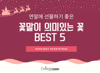 연말에 선물하면 좋을 ‘꽃말이 의미있는 꽃’ BEST 5