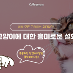 당신 옆에 자고 있는 고양이는 사실 당신보다 위대할 수도…?