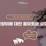 세상 모든 고양이는 위대하다-2