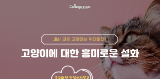 당신 옆에 자고 있는 고양이는 사실 당신보다 위대할 수도…?
