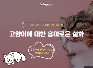당신 옆에 자고 있는 고양이는 사실 당신보다 위대할 수도…?