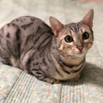 이미지 출처_히로주