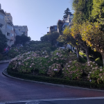 lombard