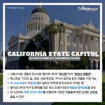 긴 내용