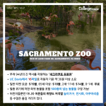 긴 내용 (2)