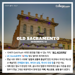 긴 내용 (3)